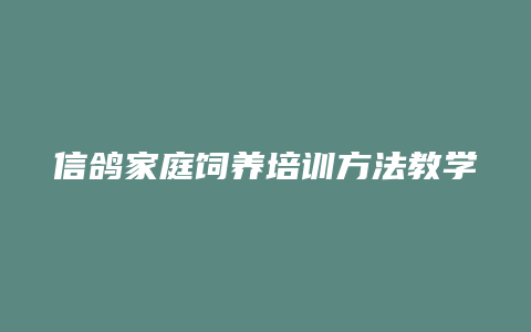 信鸽家庭饲养培训方法教学视频