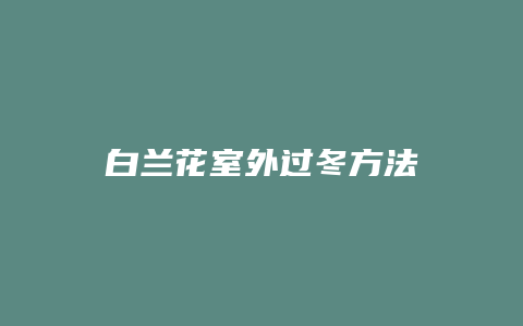 白兰花室外过冬方法