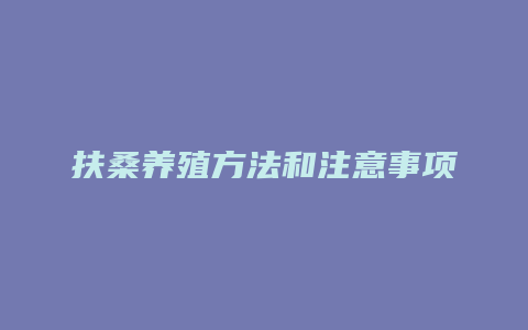 扶桑养殖方法和注意事项