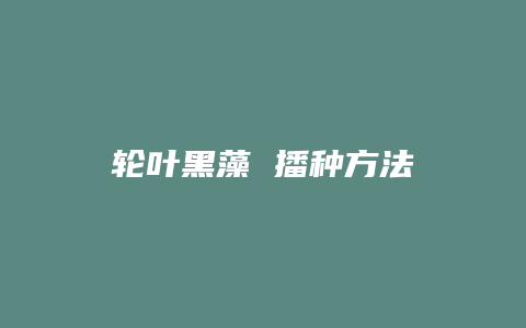 轮叶黑藻 播种方法