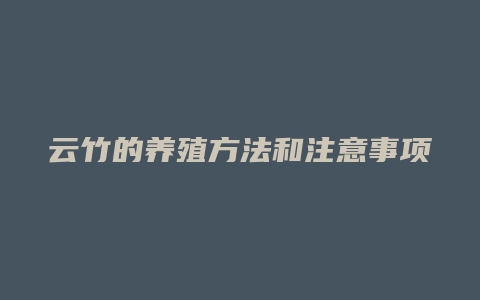 云竹的养殖方法和注意事项