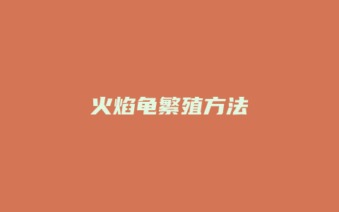 火焰龟繁殖方法