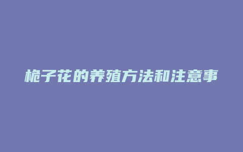 桅子花的养殖方法和注意事项