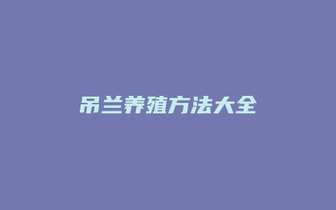 吊兰养殖方法大全