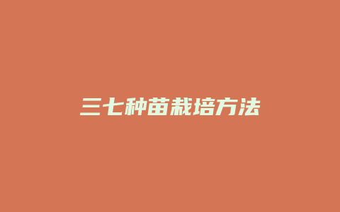 三七种苗栽培方法