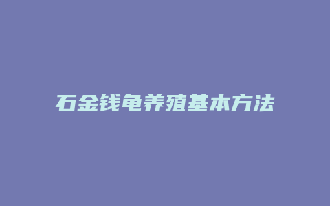 石金钱龟养殖基本方法