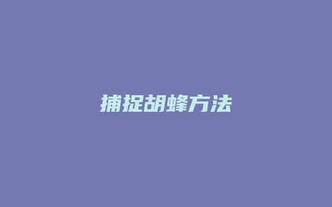 捕捉胡蜂方法