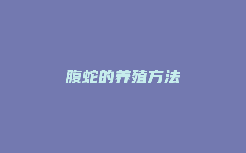 腹蛇的养殖方法