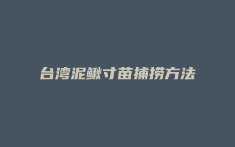 台湾泥鳅寸苗捕捞方法