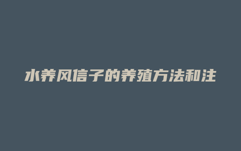 水养风信子的养殖方法和注意事项