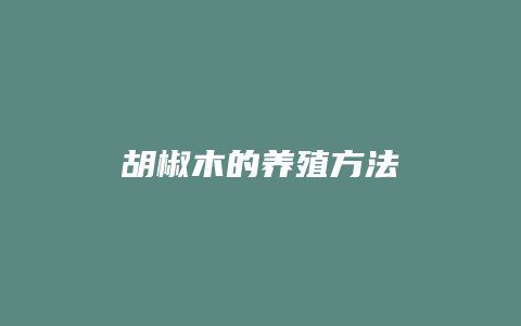 胡椒木的养殖方法