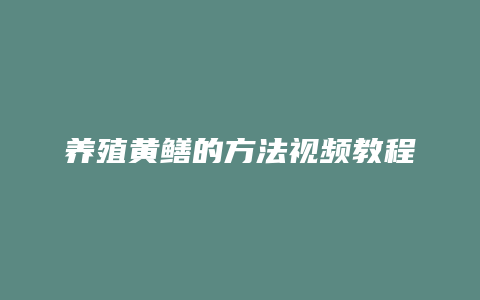 养殖黄鳝的方法视频教程