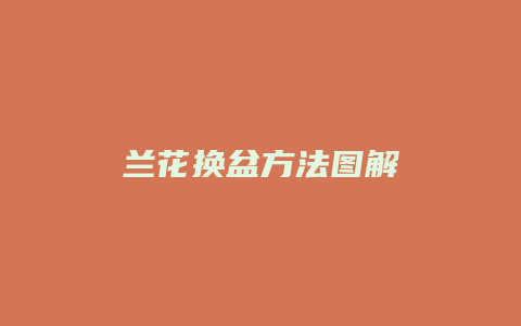 兰花换盆方法图解