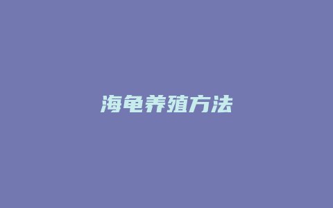 海龟养殖方法