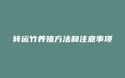 转运竹养殖方法和注意事项