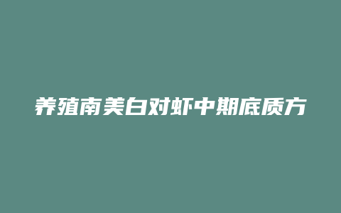 养殖南美白对虾中期底质方法