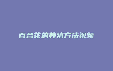 百合花的养殖方法视频