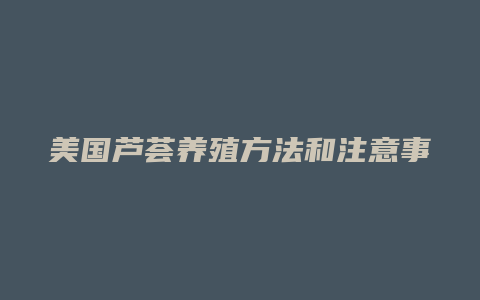 美国芦荟养殖方法和注意事项