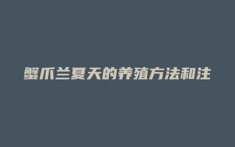 蟹爪兰夏天的养殖方法和注意事项