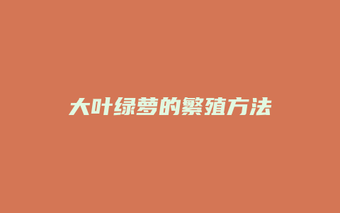 大叶绿萝的繁殖方法