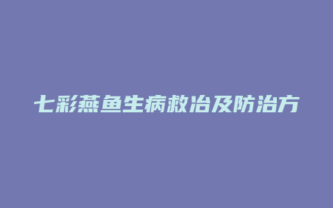 七彩燕鱼生病救冶及防治方法