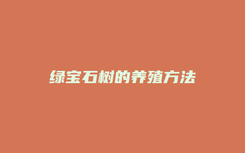 绿宝石树的养殖方法