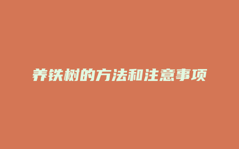 养铁树的方法和注意事项