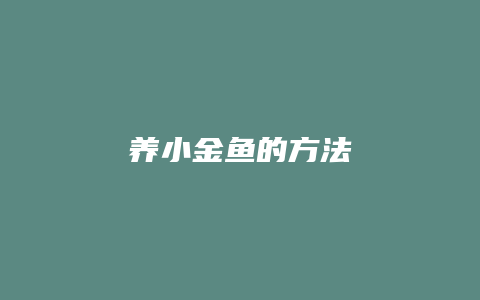 养小金鱼的方法