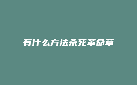 有什么方法杀死革命草