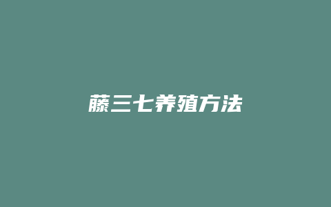 藤三七养殖方法