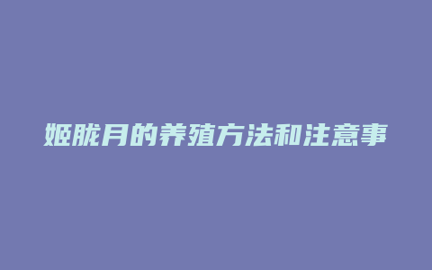 姬胧月的养殖方法和注意事项