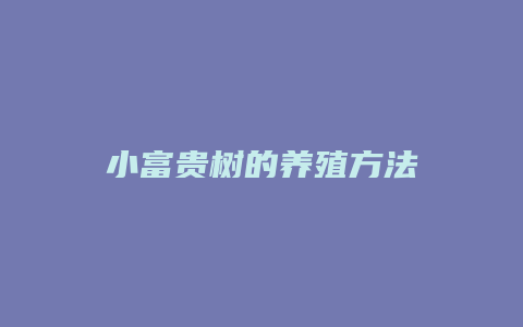 小富贵树的养殖方法