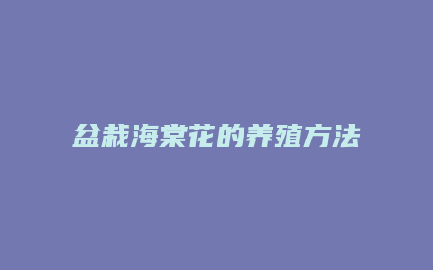 盆栽海棠花的养殖方法