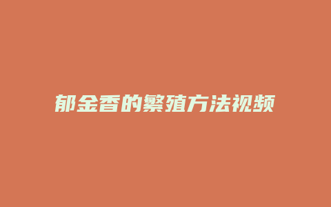 郁金香的繁殖方法视频