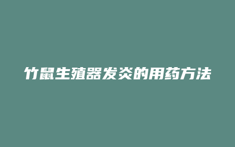 竹鼠生殖器发炎的用药方法