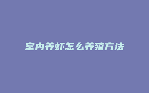 室内养虾怎么养殖方法