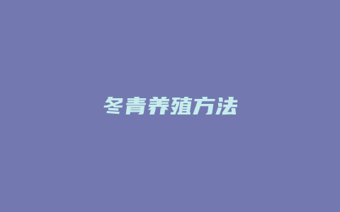 冬青养殖方法