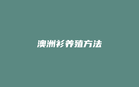 澳洲衫养殖方法