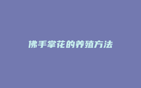 佛手掌花的养殖方法