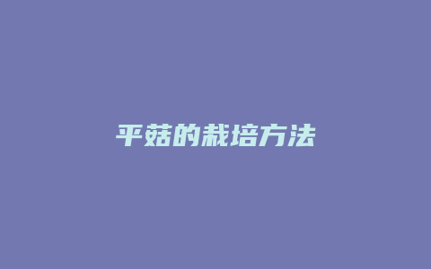 平菇的栽培方法