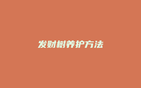 发财树养护方法