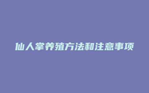 仙人掌养殖方法和注意事项