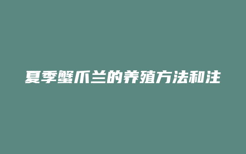 夏季蟹爪兰的养殖方法和注意事项