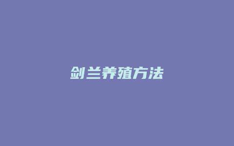 剑兰养殖方法