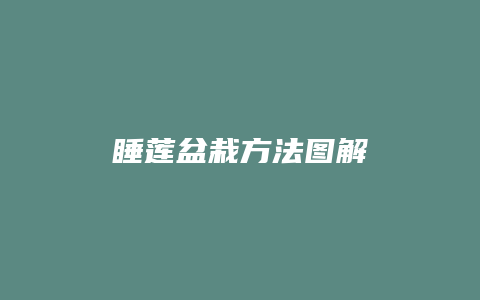 睡莲盆栽方法图解