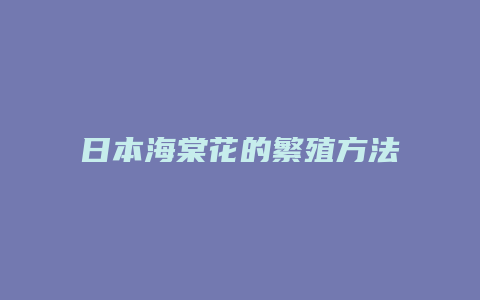 日本海棠花的繁殖方法