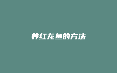 养红龙鱼的方法