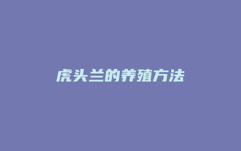 虎头兰的养殖方法