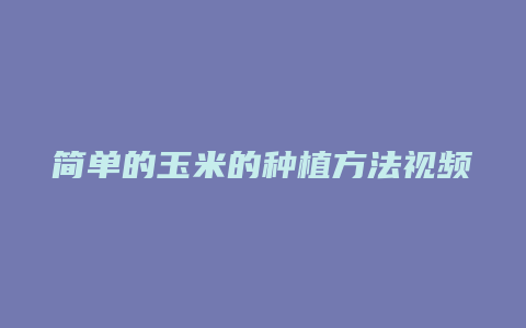 简单的玉米的种植方法视频