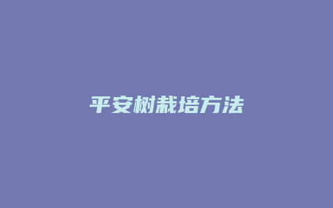 平安树栽培方法